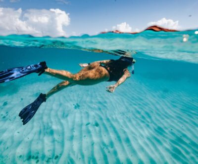 Snorkeling & Diving Tours