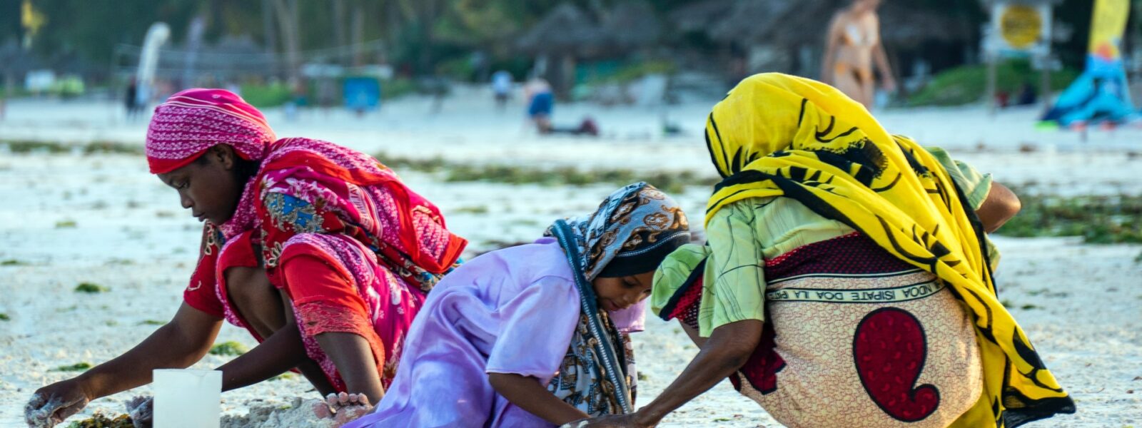 Zanzibar Cultural Fullday Tour Zanzibar Nature Trails