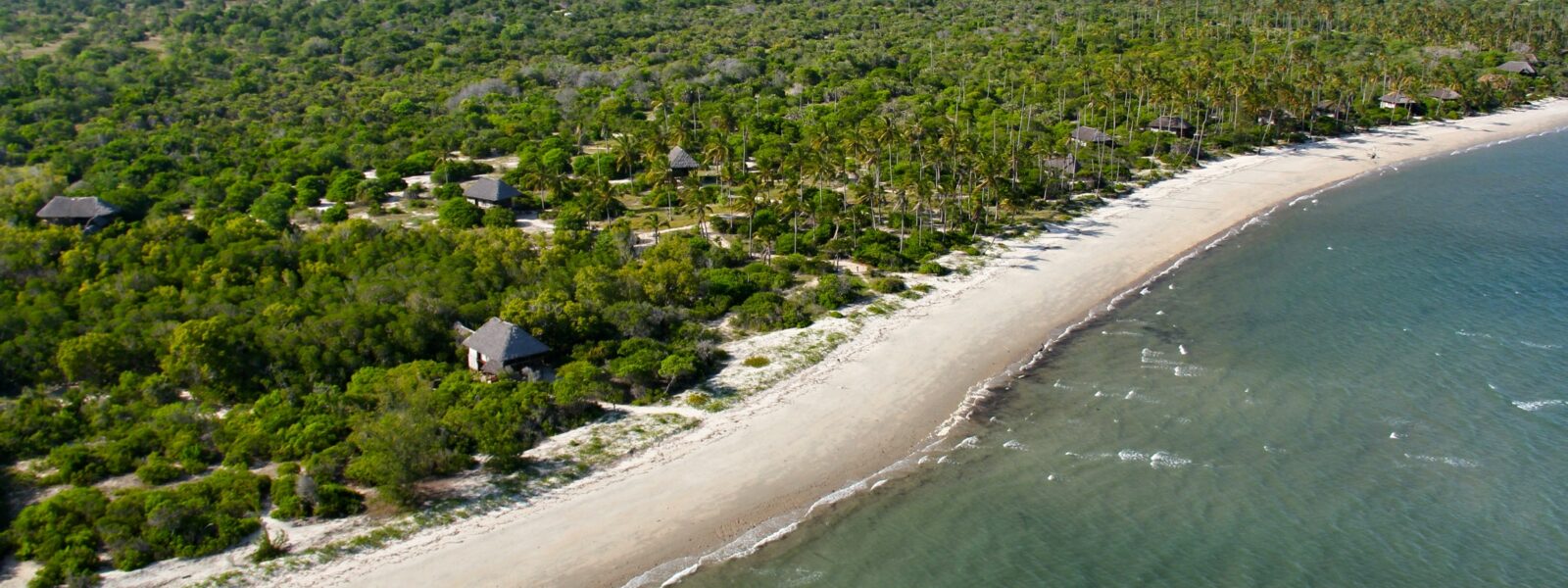 1 Day Saadani Flying Safari