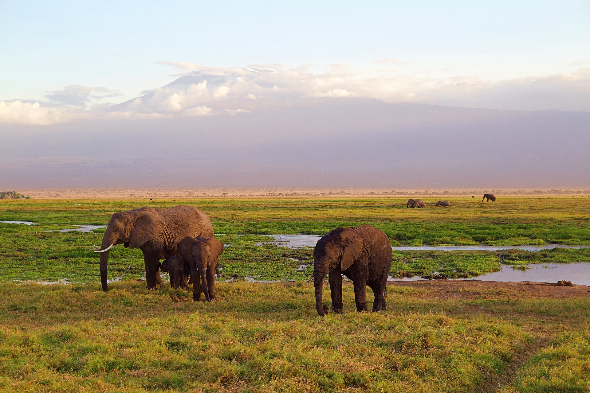 kilimanjaro safari and zanzibar package