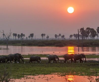 2 Days Selous (Nyerere) National Park